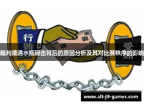 裁判遭遇水瓶砸击背后的原因分析及其对比赛秩序的影响